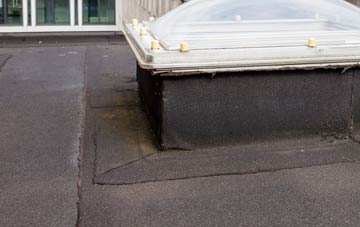 disadvantages of Bottom House flat roofs