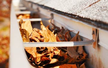 Bottom House gutter cleaning companies
