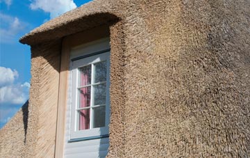 Bottom House thatch roof disadvantages
