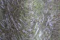 Bottom House fibreglass roof work